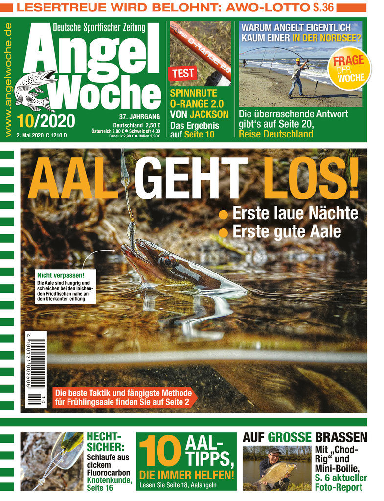 AngelWoche Titel 10 2020