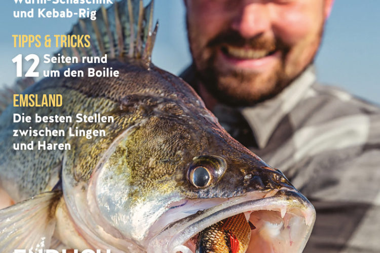 Der neue BLINKER 06/2020 – ab 12. Mai im Handel! Bild: BLINKER