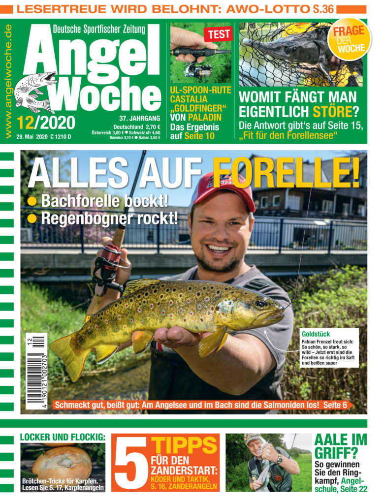 AngelWoche Titel Ausgabe 12 2020