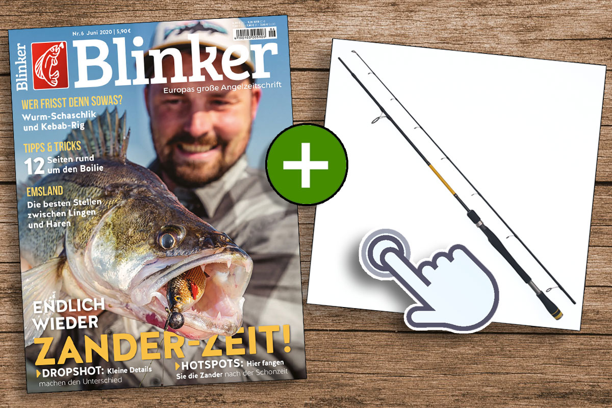 Jetzt Blinker abonnieren und die Sportex Curve Spin GT-3 zum absoluten Vorteilspreis erhalten! Bild: BLINKER