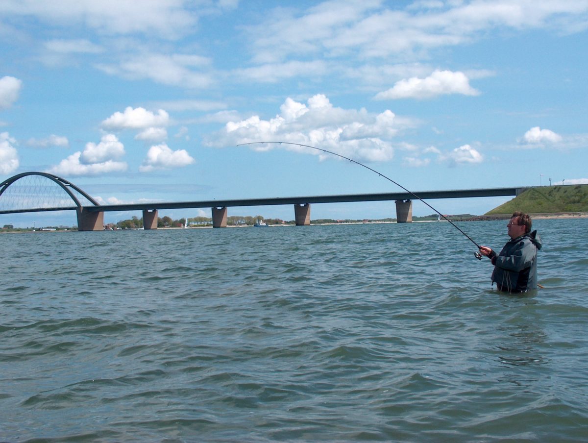 Wenn man mit feinem Gerät fischt, ist die Rute häufiger krumm als wenn man zu starkes Geschirr verwendet.