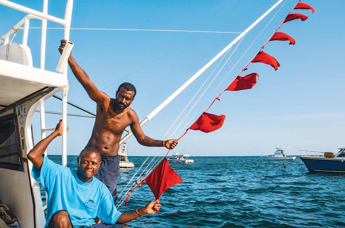 Jede rote Flagge steht für einen am Tag gefangenen und wieder freigelassenen Sail!