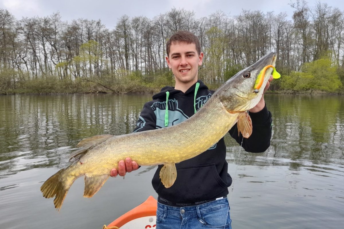 Mit diesem 95 Zentimeter langen Hecht aus dem Bischofsee hat sich Tom Lemke einen Platz in den Top 12 der BLINKER-Hitparade gesichert – vorerst. Foto: BLINKER-Hitparade