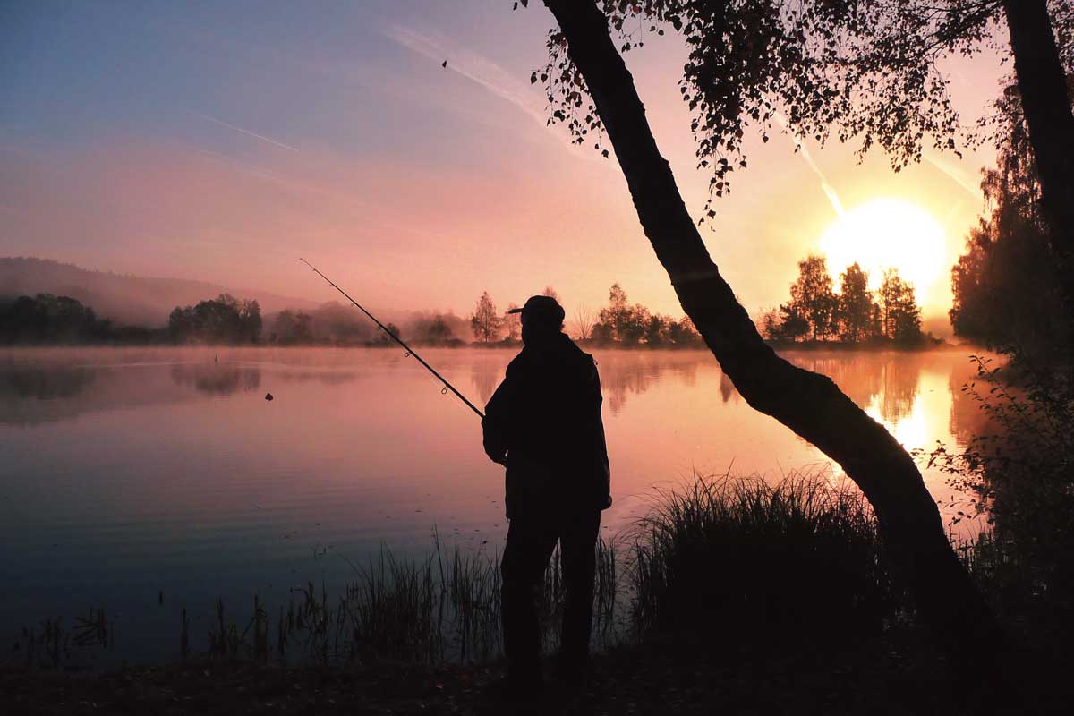 Nachtangeln ist eine Faszination für sich – und die Fische verlangen ihre ganz eigenen Strategien. Foto: E. Hartwich