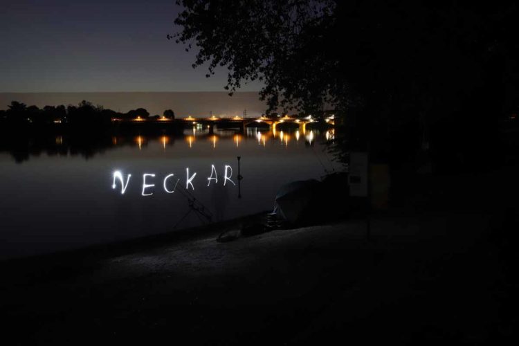 Anfangs war der Neckar eine übervolle Schatzkammer, dann wurden die wärmenden Kraftwerke abgestellt oder heruntergefahren und das Koi-Herpes-Virus raffte einen großen Teil des Bestandes dahin. Mittlerweile aber geht es dem Fluss besser.