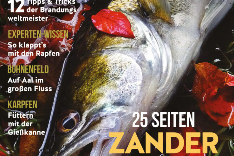 Der Blinker Alles rund ums Angeln – BLINKER