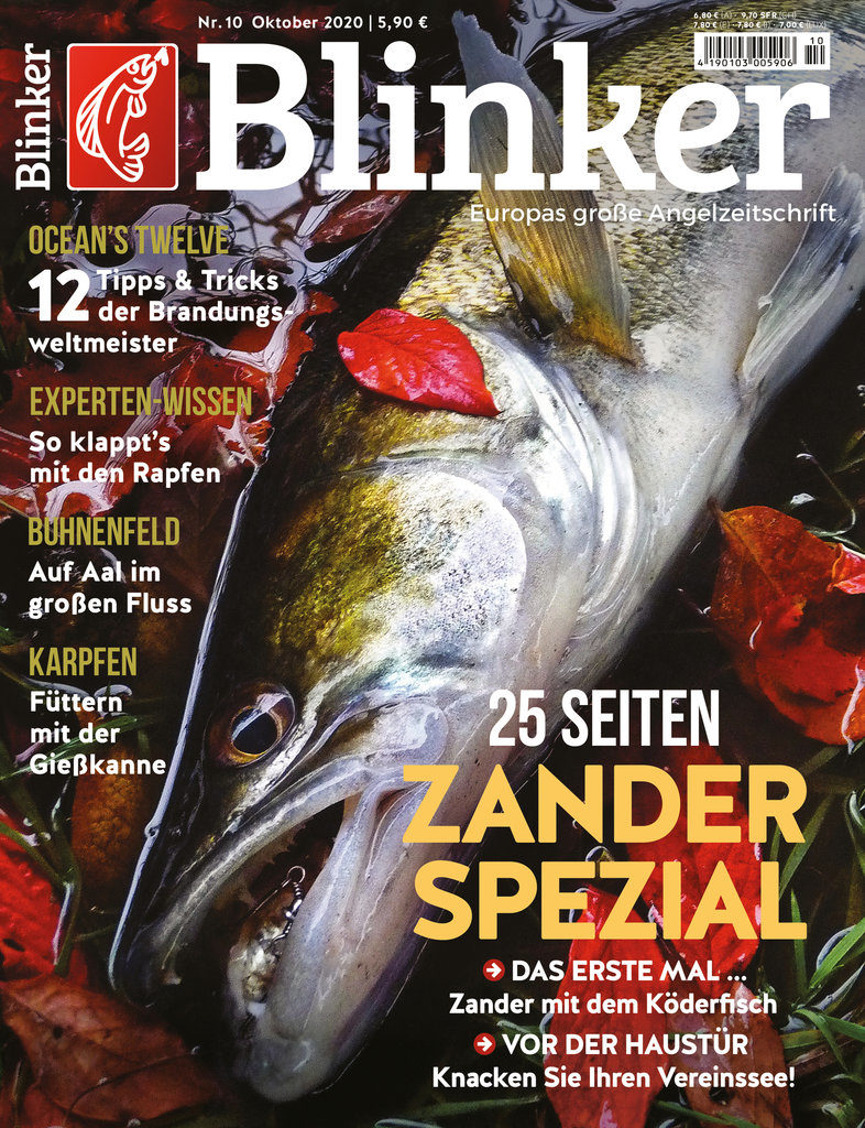 Der neue BLINKER 10/2020 – ab sofort im Handel! Bild: BLINKER