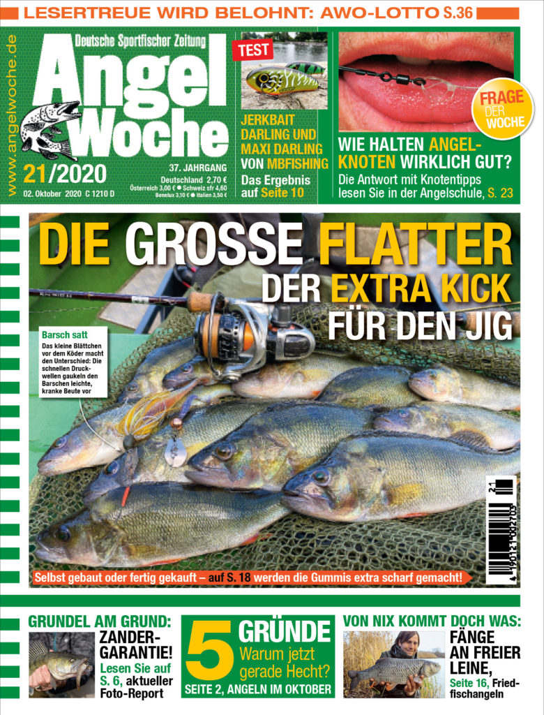 AngelWoche Titel Ausgabe 21 2020