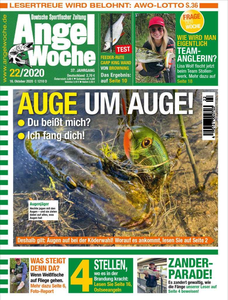 AngelWoche Titel Ausgabe 22 2020