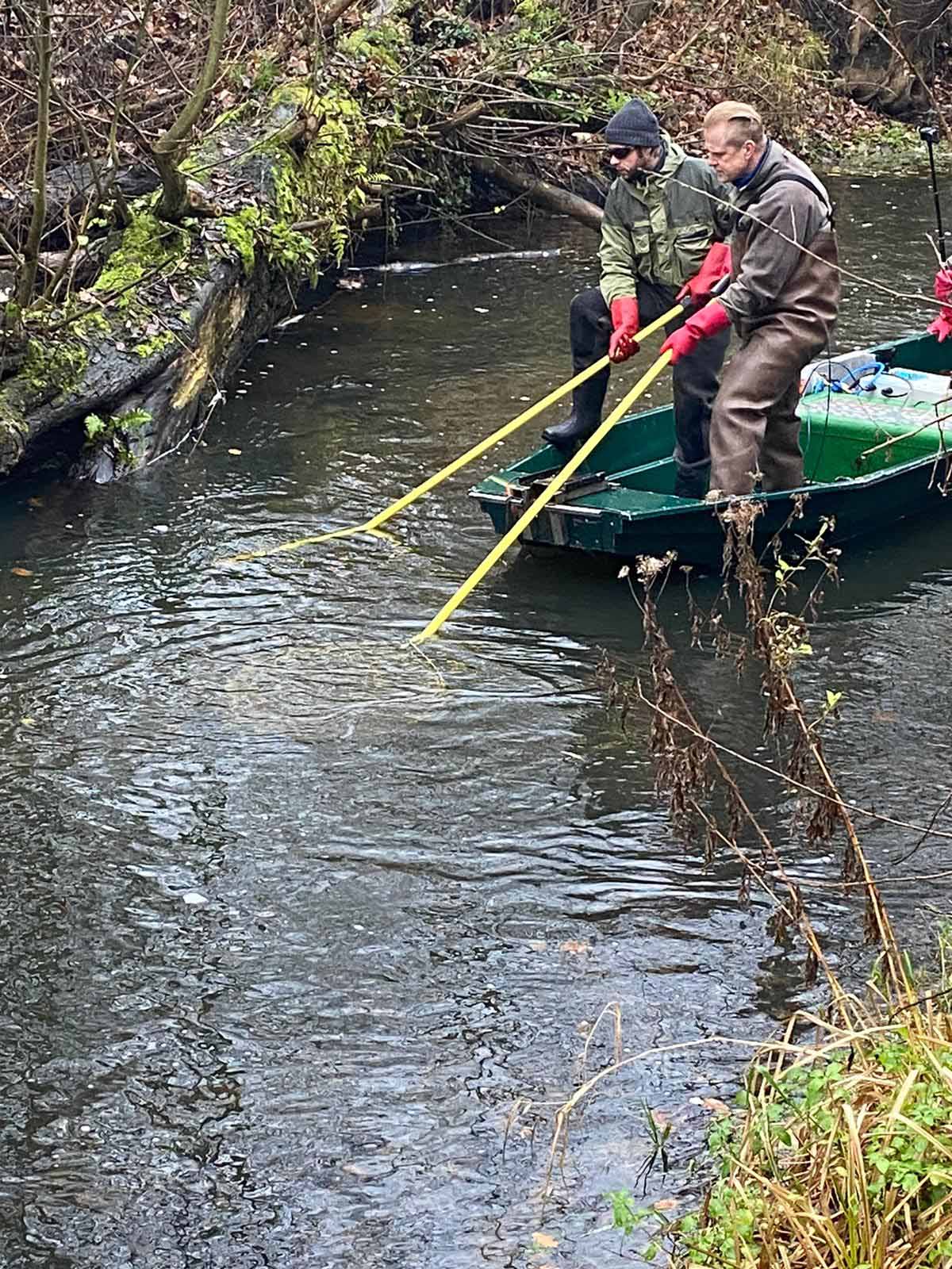 Der Anglerverein „Alster“ führt im Gewässer regelmäßig Bestandskontrollen durch. Foto: AV Alster