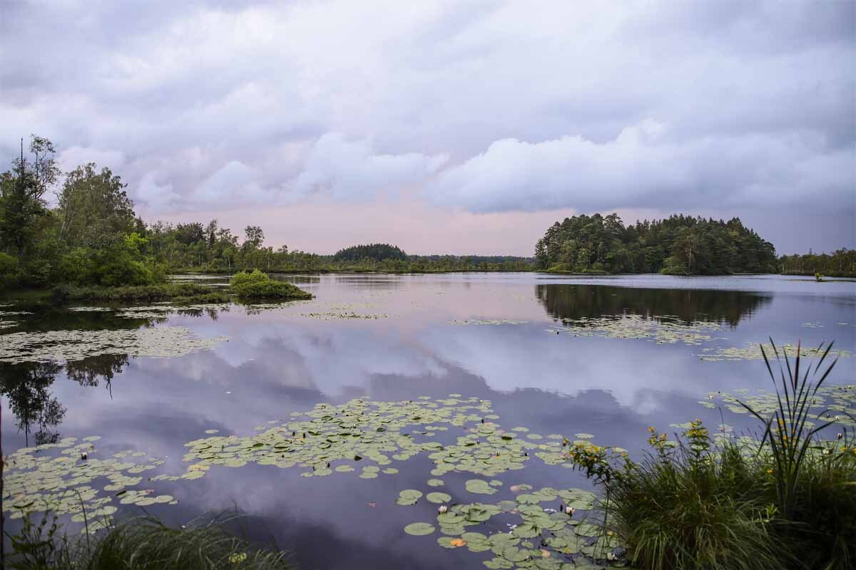 Hecht? Ja. Barsch? Klar. Forelle? Vielleicht auch. Aber Karpfen, in Schweden? Um diese Frage zu beantworten, war Volker im Sommer letzten Jahres auf Abenteuer-Tour. Foto: V. Seuß