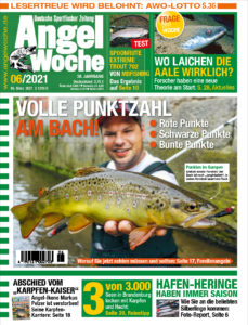 AngelWoche 06, 2021