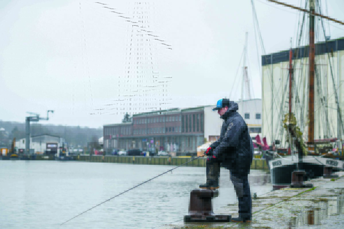 Nicht überall reicht die Fischereiabgabe aus! In manchen Abschnitten (oder Häfen) musst Du einen zusätzlichen Angelschein kaufen. So zum Beispiel für das Angeln im Hafen von Neustadt (Holstein). Foto: Waldemar Krause