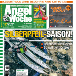 AngelWoche
