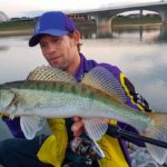 Stephan Gockel schwört auf die richtige Köderfarbe: Dieser Zander attackierte den weißen Gummifisch bei Sonnenaufgang. Foto: S. Gockel