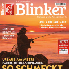 BLINKER