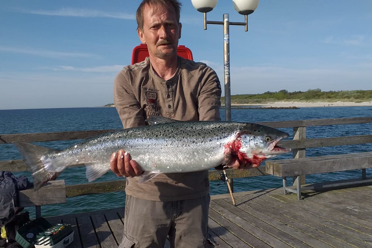 EIn Angler steht mit einer großen Meerforelle in der Hand auf der Seebrücke in Wustrow.