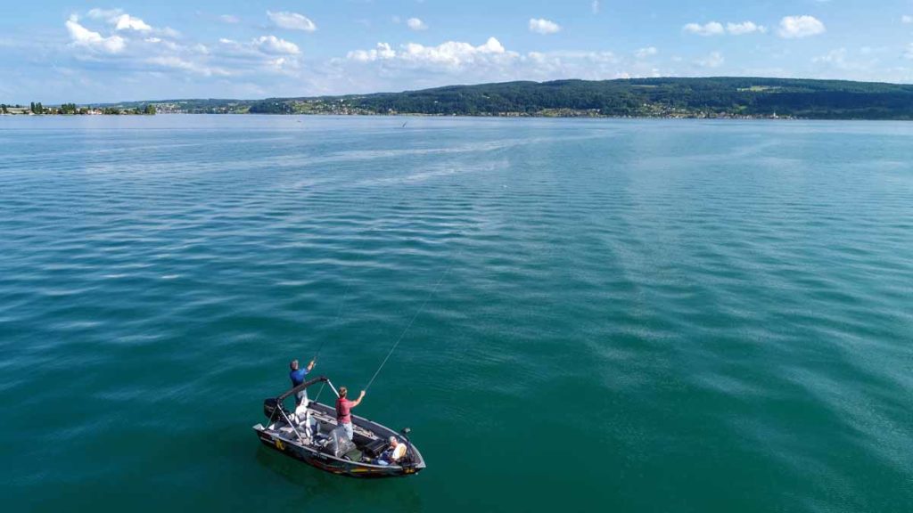 Big Baits sollten Sie überall da einsetzen, wo Sie viel Fläche oder Wassersäule vorfinden. Wie hier, am Bodensee, über elf Meter tiefem Wasser. Foto: F. Pippardt