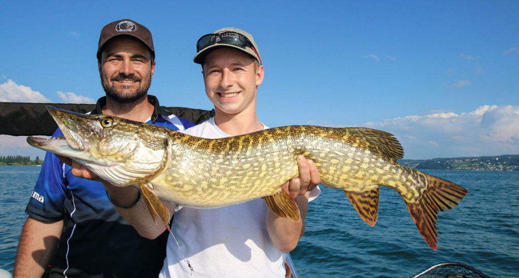 Ein Bodensee-Löwe, der in der Wassersäule stand und nur auf seine Chance gewartet hat. Foto: J. Radtke