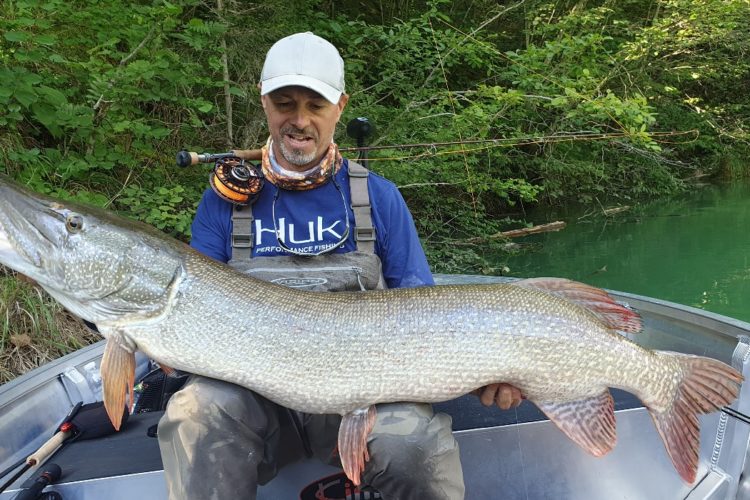 Ein Hecht wie ein Baumstamm. Paolo Pacchiarini fing den Fisch seines Lebens und stellte damit einen neuen Hecht-Weltrekord auf. Foto: P. Pacchiarini