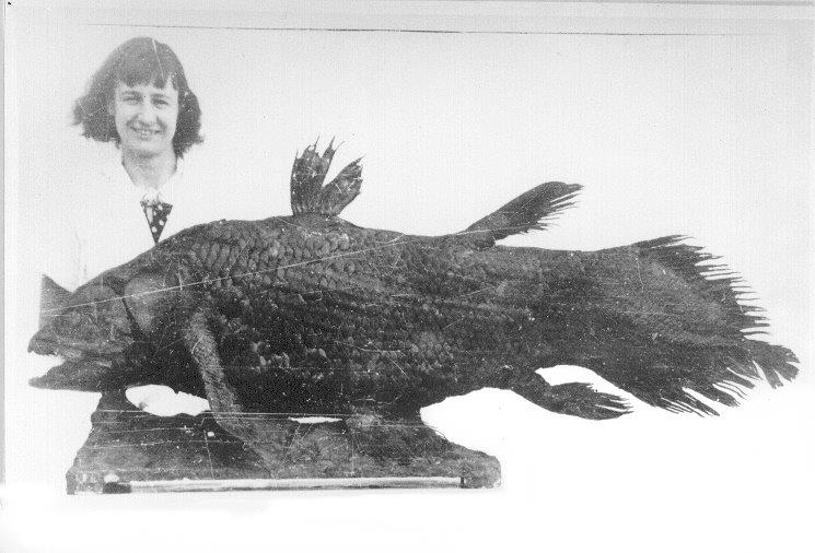 Marjorie Courtenay-Latimer, damals leitende Museumskuratorin in Kapstadt, entdeckte den Quastenflosser im Jahr 1938 wieder. Foto: frei von Urheberrechten