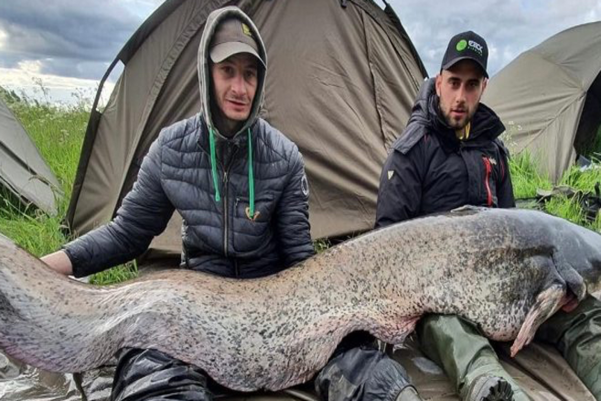 Zwei junge Männer sitzen in Angelausrüstung auf dem Boden. Auf ihrem Schoß ausgebreitet liegt der 224cm Wels.