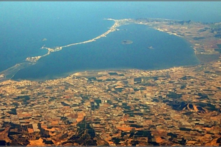 Am Mar Menor an der Südküste von Spanien kam es zu einem weiteren Fischsterben. Über fünf Tonnen Fisch wurden angespült. Foto: Jose A. / Flickr