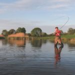 Angler steht knietief im Wasser und hat einen Karpfen im Drill.