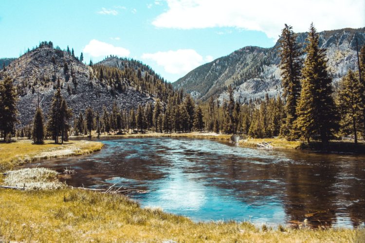 Der neue Fliegenfischer-Film „Mending the Line“ wird an den schönsten Flüssen im Yellowstone-Nationalpark gedreht. Foto: Austin Farrington / Unsplash