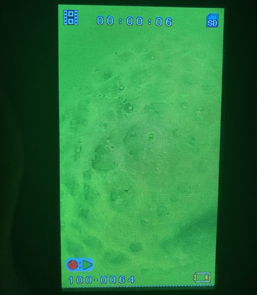 Sehen Sie diese Löcher im Boden? Das sind Fraßlöcher, gefunden mit der Unterwasserkamera auf 8 Meter Tiefe. Als hätte jemand mit dem Maschinengewehr in den Fußboden geschossen. Und diese Stelle produzierte viele Bisse … Foto: F. Pippardt
