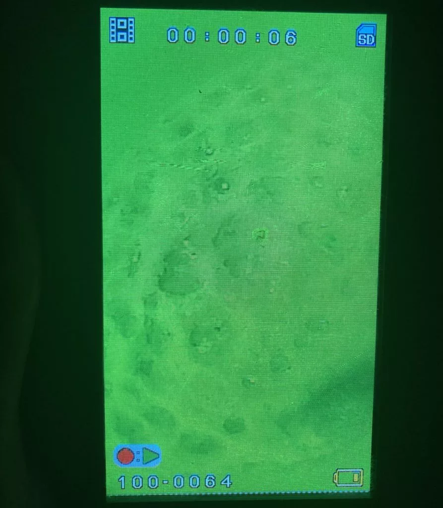 Sehen Sie diese Löcher im Boden? Das sind Fraßlöcher, gefunden mit der Unterwasserkamera auf 8 Meter Tiefe. Als hätte jemand mit dem Maschinengewehr in den Fußboden geschossen. Und diese Stelle produzierte viele Bisse … Foto: F. Pippardt