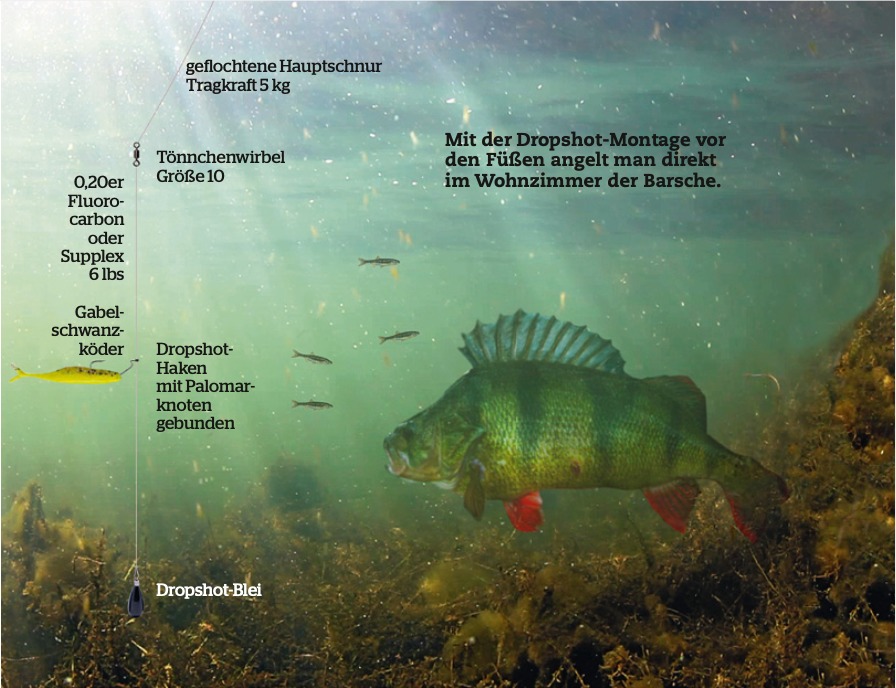 Aufbau der Dropshot-Montage. Foto: Blinker