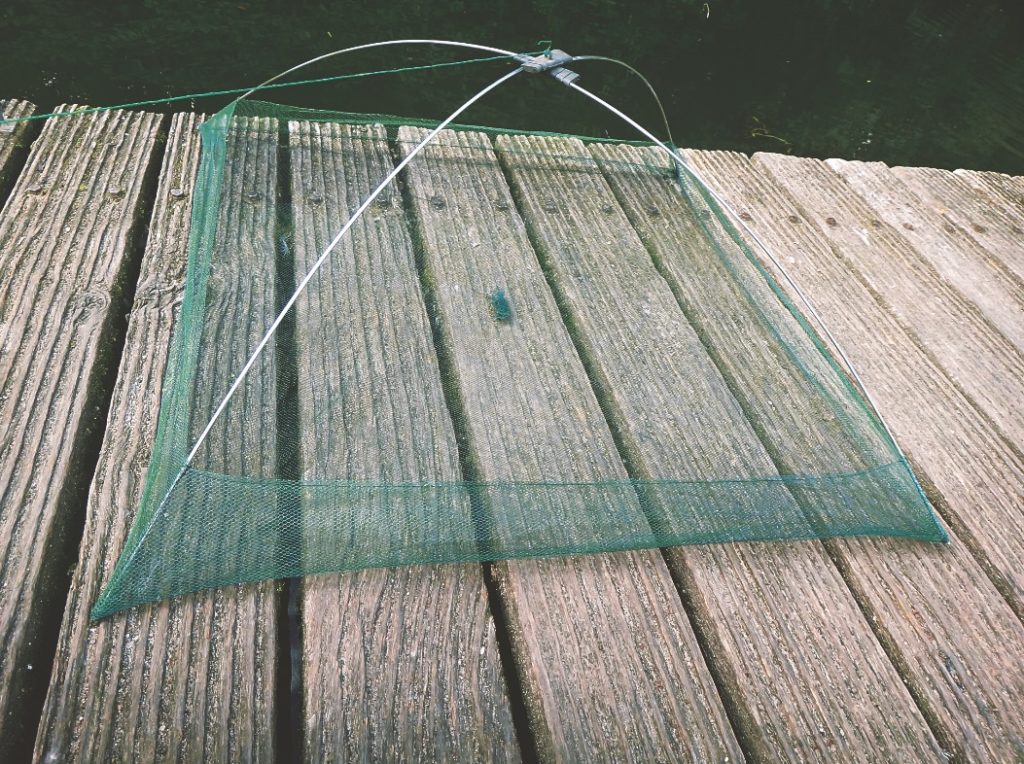 Die für Angler erlaubten Senken sind einheitlich 1 m² groß. Ob das Senken erlaubt ist, steht in den Vereinsstatuten. Foto: F. Schlichting