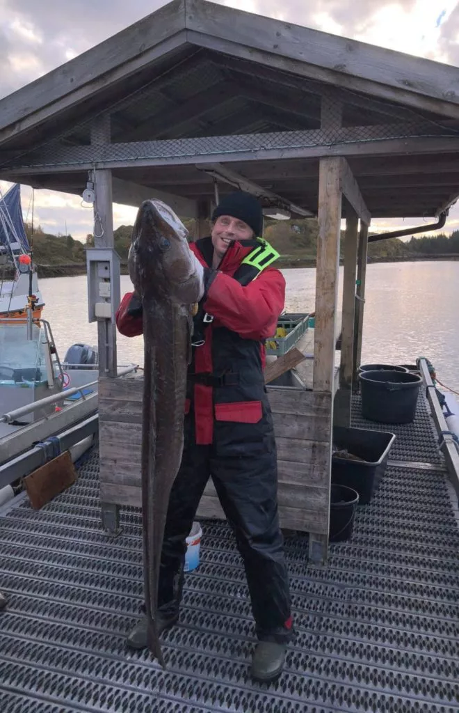 Diesen riesigen Leng von 166 Zentimetern fing Matthias Hoffmann vor der Insel Hitra. Foto: M. Hoffmann