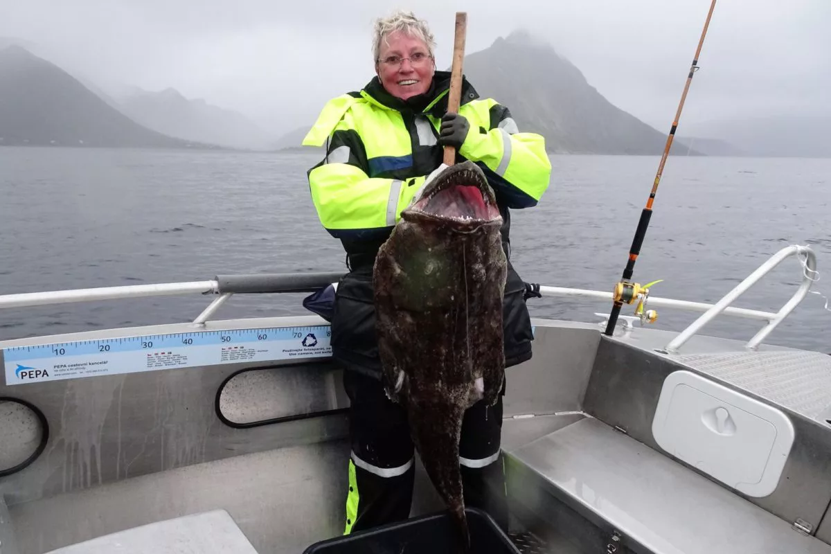 Sabine Amarell ist begeisterte Hochseeanglerin. Sie fing einen großen Seeteufel auf einer ihrer vielen Reisen nach Norwegen, genauer gesagt an den Gryllefjord. Foto: S. Amarell