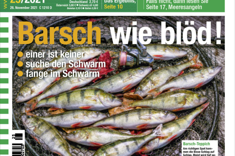 Die neue AngelWoche 25/2021 – ab sofort im Handel und online erhältlich!