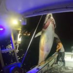 Michelle Bancewicz Cicale aus New Hampshire fing einen Thunfisch, der ihr Boot durchschüttelte. Das Video der Anglerin verbreitete sich schnell im Netz. Foto: fv_no_limits / Instagram