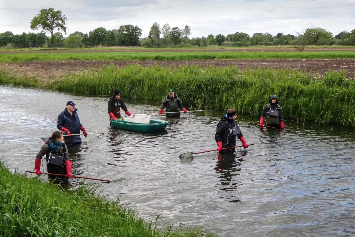 Auch beim Watangeln ist die Elektrofischerei möglich. Wichtig sind absolut wasserdichte Wathosen. Foto: F. Schlichting