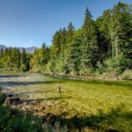 Traumhafte Naturkulisse: Die Goiserer Traun in Österreich. Hier, auf einer der letzten unverbauten Strecken der Traun, konnte ein Wasserkraftwerk verhindert werden. Foto: Traunrauschen