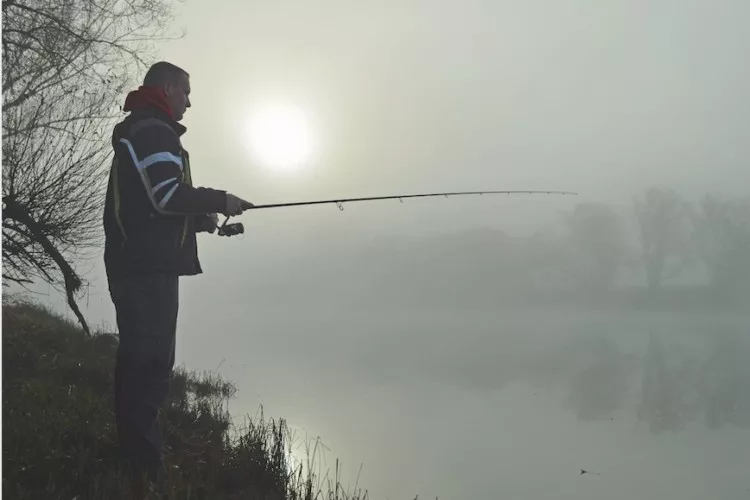 Neblige Wintertage können schöne Seiten haben, wenn die Sonne mal kurz auftaucht. Foto: Veit Wilde