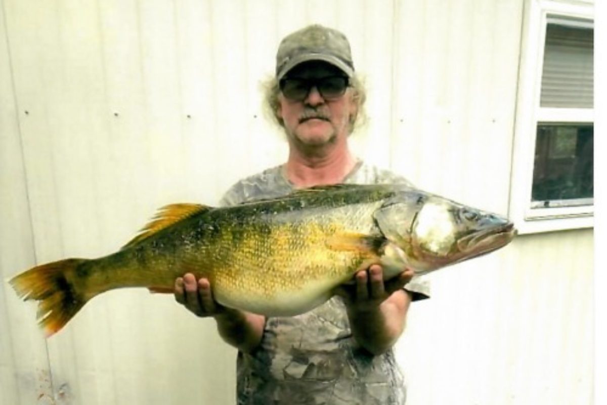 Stolz präsentiert Richard Nicholson seinen Rekord-Walleye. Er hatte erst vor, den Fisch direkt zu filetieren. Foto: Pennsylvania Fish and Boat Commission via Facebook