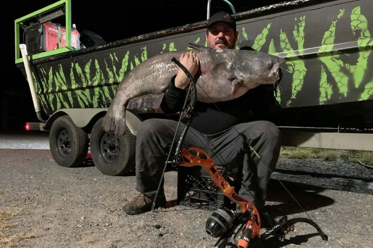 Der Bogenfischer William Bates Jr. schoss einen 28 Kilo schweren Blauen Katzenwels. Damit stellte er einen neuen Rekord in Virginia auf. Foto: Virginia DWR