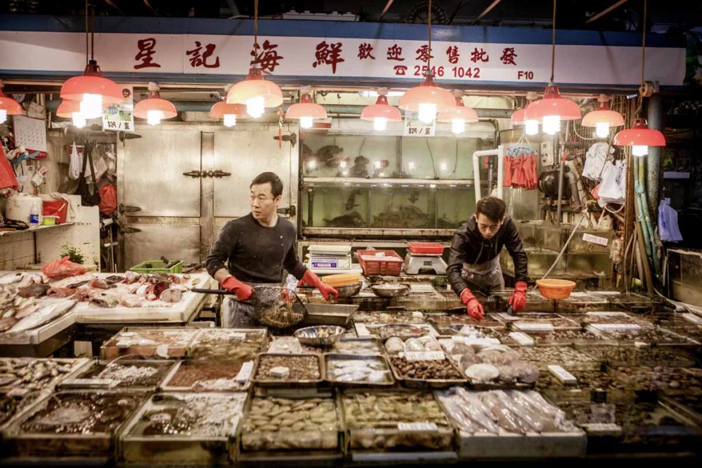 Zwischen Zackenbarschen, Graskarpfen und Garnelen wird Florian fündig. Ob dieses Exemplar aus chinesischer Aquakultur wohl vor ein paar Jahren als europäischer Glasaal in der Bucht von Biskaya gefangen und nach Fernost geschmuggelt wurde? Foto: Florian Büttner