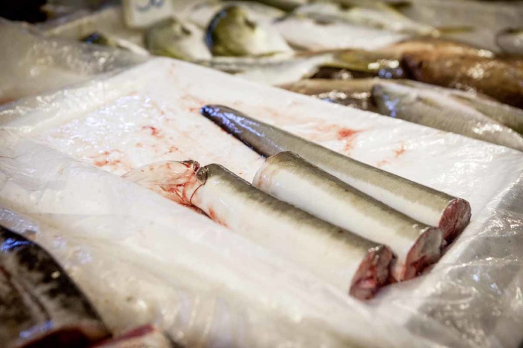 In Asien gezuechteter Aal auf einem Seafood-Markt in Hong Kong. Foto: Florian Büttner