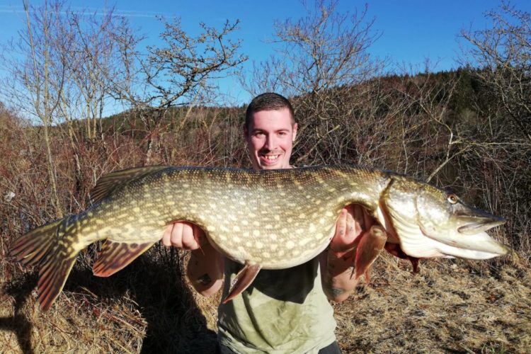 Stolz präsentiert Stefan Lau seinen Meterhecht aus dem Bachtelsee. Das neue Jahr fing für ihn mit einem neuen Rekord an! Foto: S. Lau