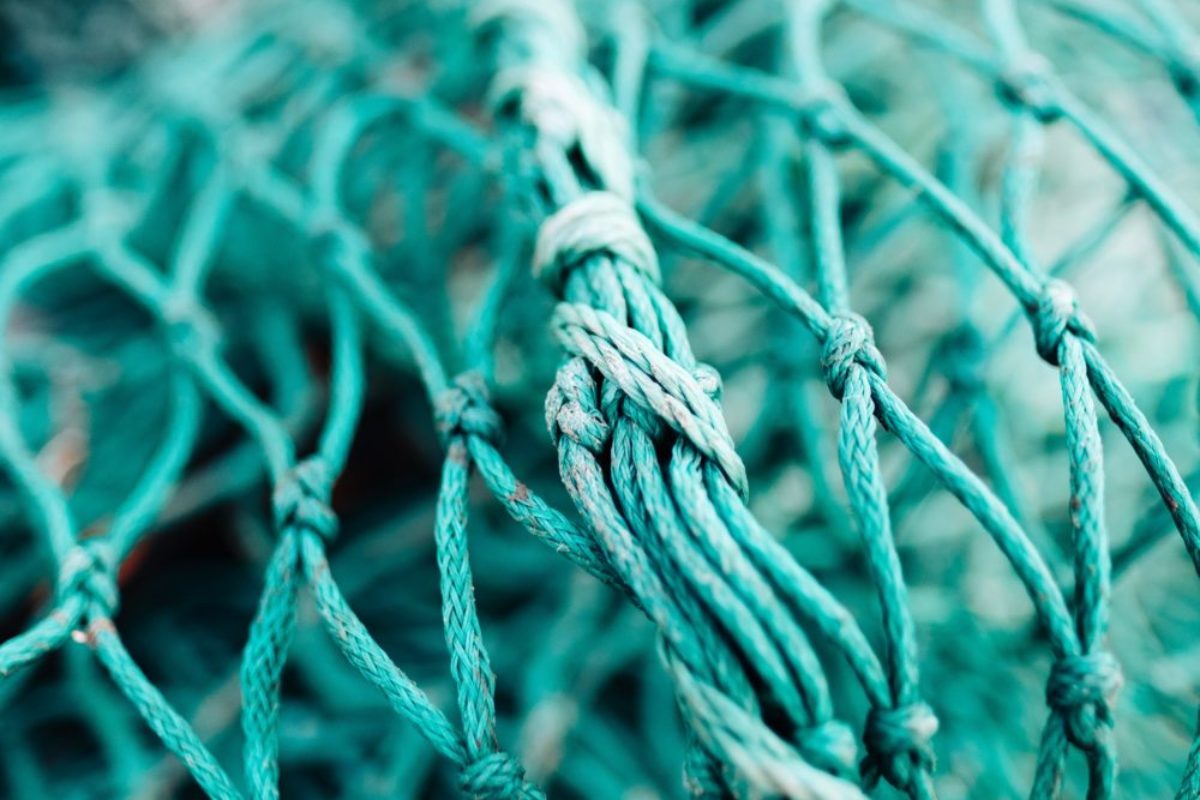 Bei der Fischerei mit Netzen kommt es zu vielen Beifängen. Beleuchtete Fischernetze können diese jedoch reduzieren. (Symbolbild) Foto: Unsplash / Jonas Jacobsson