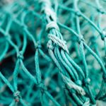 Bei der Fischerei mit Netzen kommt es zu vielen Beifängen. Beleuchtete Fischernetze können diese jedoch reduzieren. (Symbolbild) Foto: Unsplash / Jonas Jacobsson