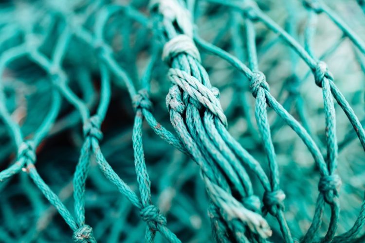 Bei der Fischerei mit Netzen kommt es zu vielen Beifängen. Beleuchtete Fischernetze können diese jedoch reduzieren. (Symbolbild) Foto: Unsplash / Jonas Jacobsson