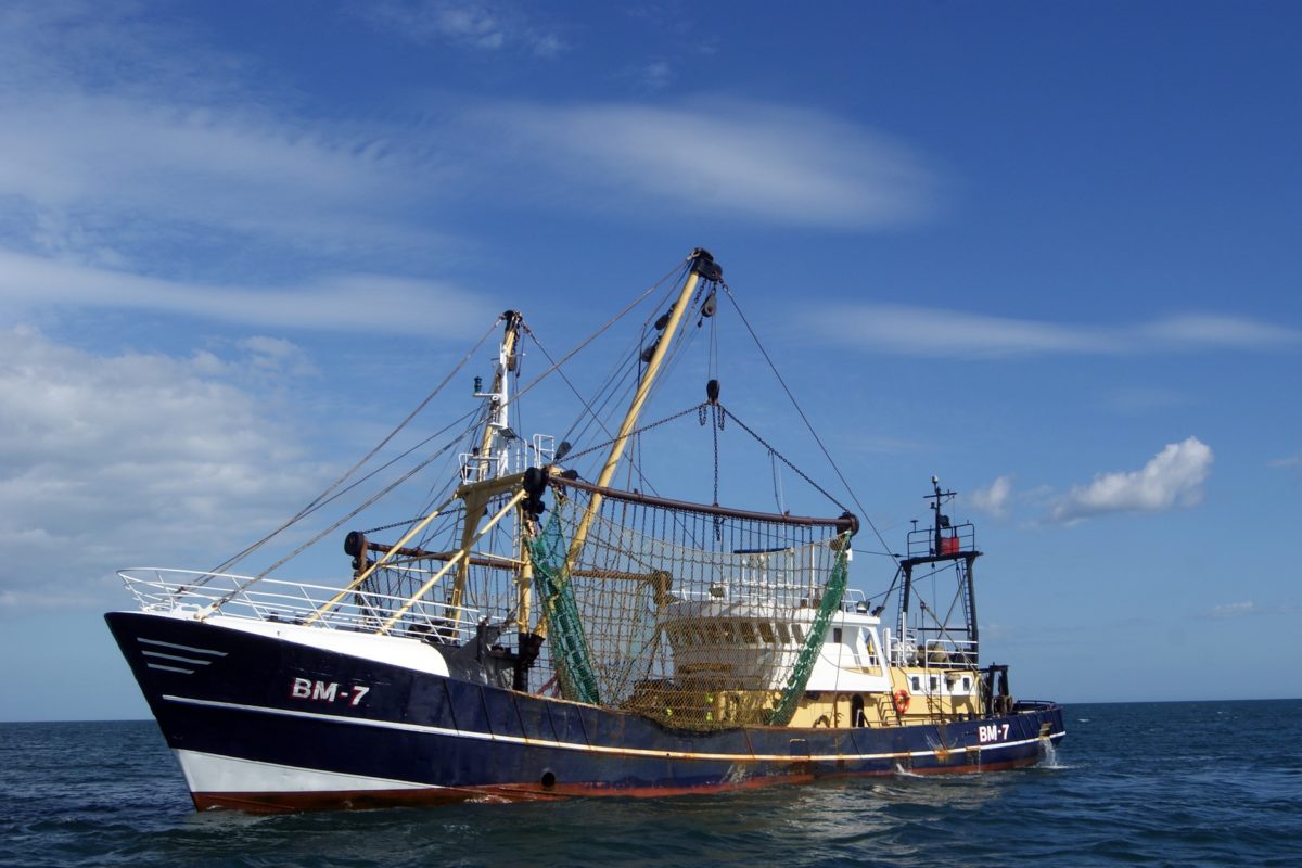 Große Trawler holen in ihren Netzen massenhaft Beifang ein. (Symbolbild) Foto: mcsc1995 / Pixabay