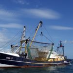 Große Trawler holen in ihren Netzen massenhaft Beifang ein. (Symbolbild) Foto: mcsc1995 / Pixabay
